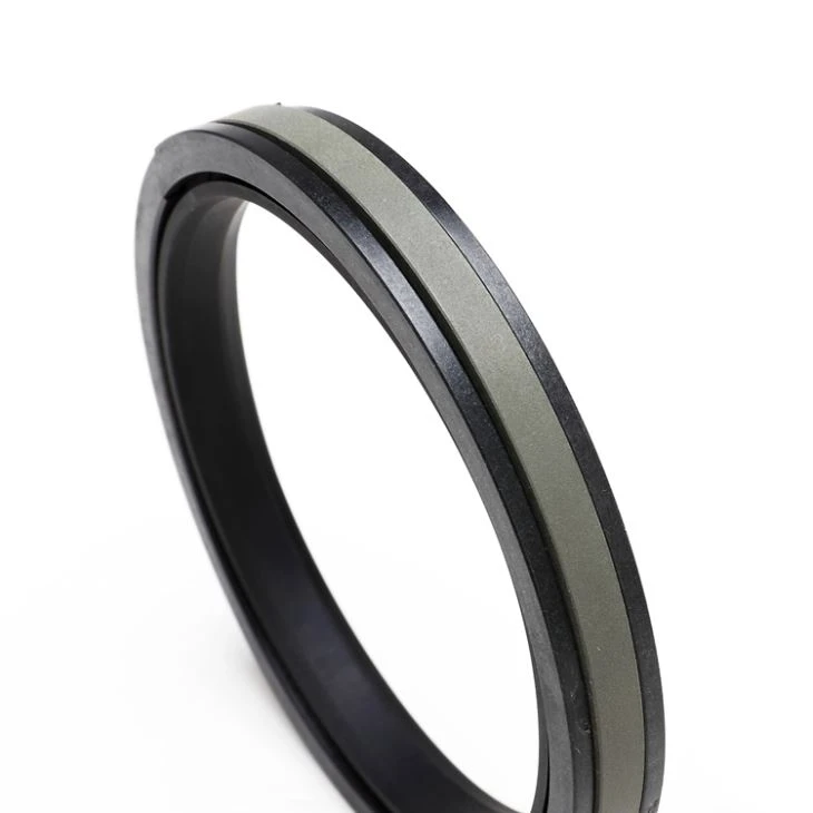 Double Acting Piston Seals